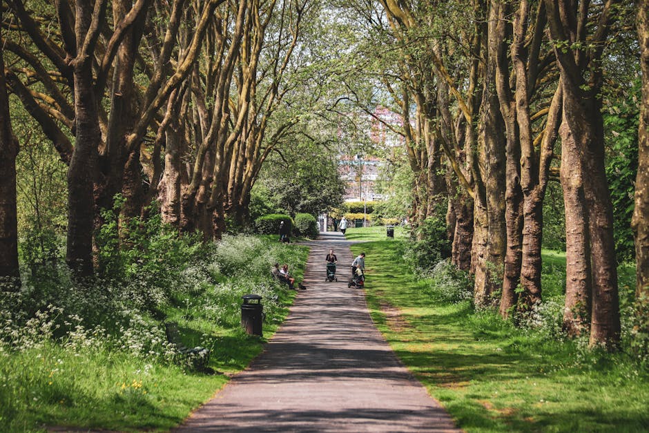 A wide, straight pathway in a park lined with tall, mature trees on both sides, their branches arching overhead and forming a natural canopy. The pathway is made of asphalt and flanked by lush green grass and low flowering plants with white blooms. Several people are visible along the path; some are walking, while others are sitting on benches or pushing strollers, indicating a peaceful outdoor setting. Trash bins are placed intermittently along the edges of the pathway. In the background, a few individuals can be seen near the end of the path, with a glimpse of modern buildings and a clear sky visible beyond the trees. The scene is well-lit with natural daylight, capturing a typical day in a tranquil urban park that could be used for home relocation or moving preparations, as experienced by local residents or movers like Man with Van Bedford Park.