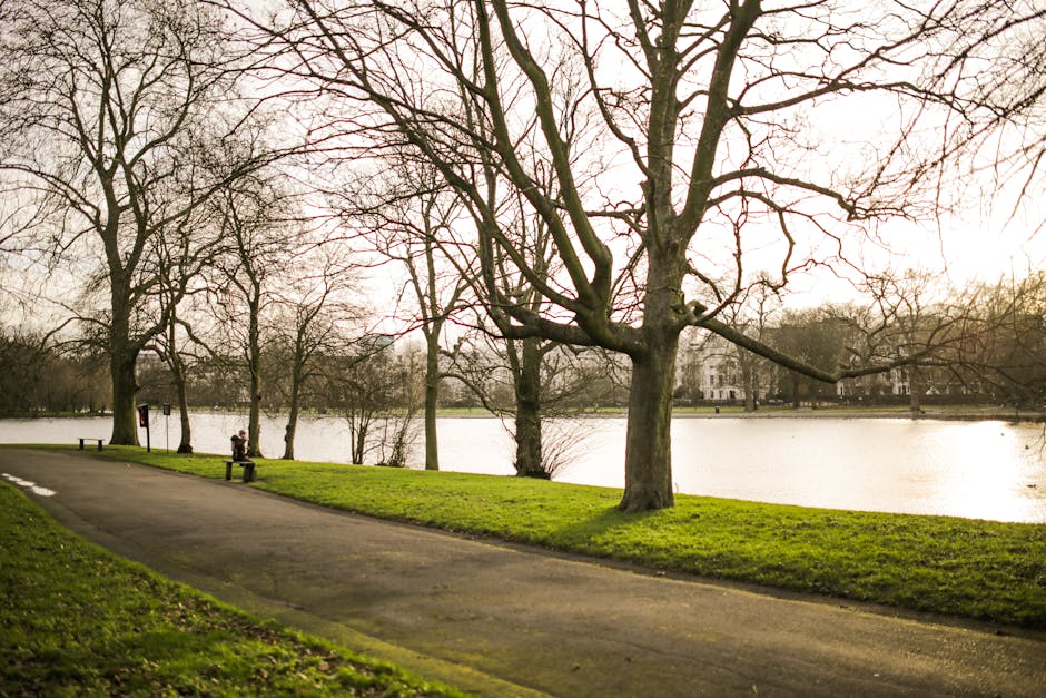 A lakeside scene in a park during daytime with a paved path running parallel to the water. Several leafless trees with sprawling branches line the grassy area beside the path, indicating an outdoor setting in late autumn or winter. A person is seated on a bench along the footpath, with a row of additional benches visible nearby. In the distance, beyond the trees and lake, residential buildings with multiple stories are partially visible through the branches. The calm water of the lake reflects the overcast sky, which is diffused with soft, natural light. The scene captures a tranquil outdoor environment suitable for walking or relaxation, and is relevant to house removals and moving services that often include transporting furniture in outdoor or garden settings, as exemplified by Man with van Bedford Park and their home relocation expertise.